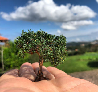 Arbol miniatura